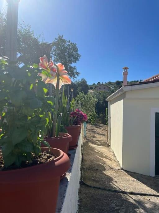Alex House Apartment Parga Exterior photo