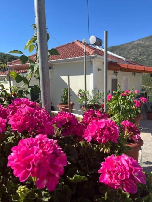 Alex House Apartment Parga Exterior photo